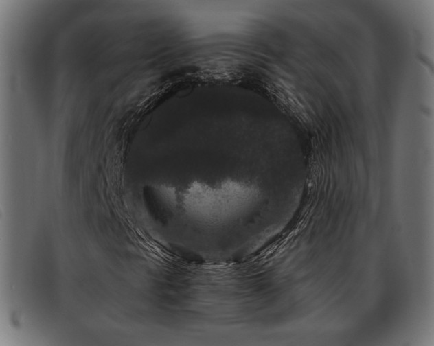 X0000093481297200710121437