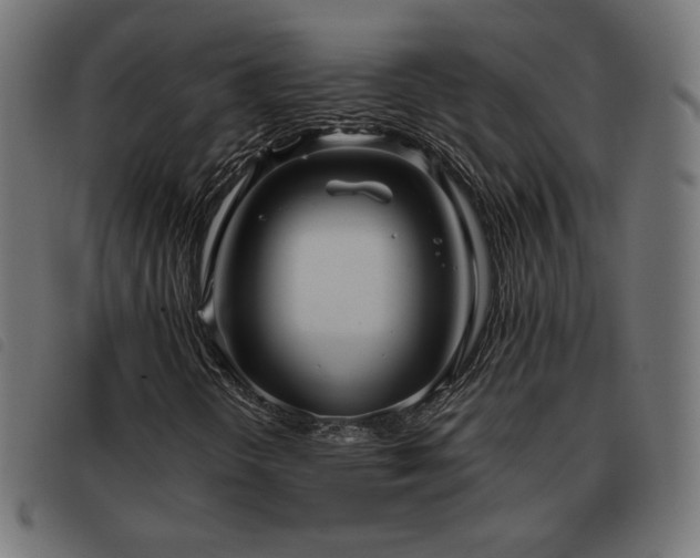 X0000093481298200710121437
