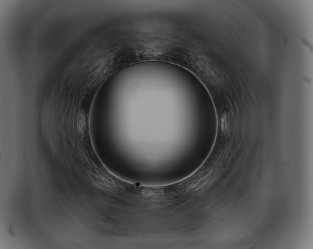 X0000093481299200710121437