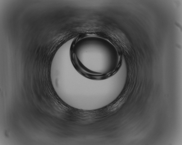 X0000093481300200710121437