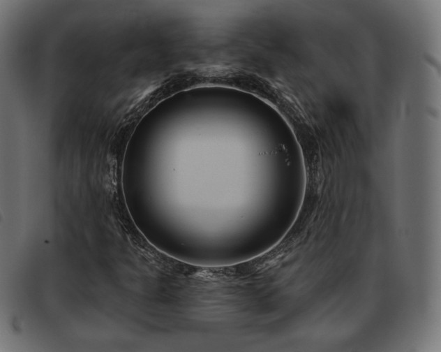 X0000093481301200710121437
