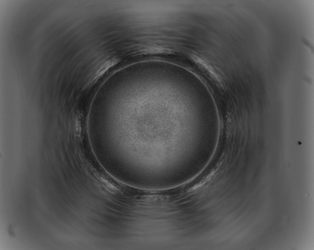 X0000093481305200710121437