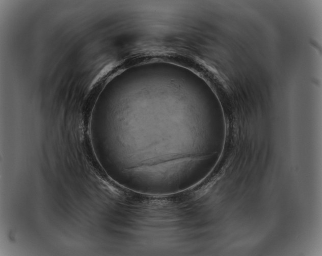 X0000093481306200710121437
