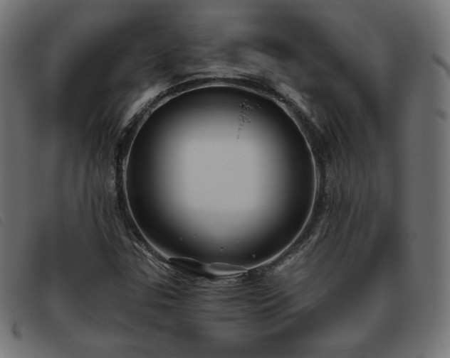 X0000093481307200710121437