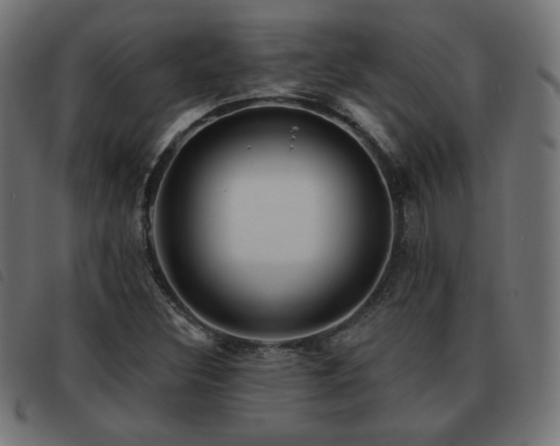 X0000093481308200710121437