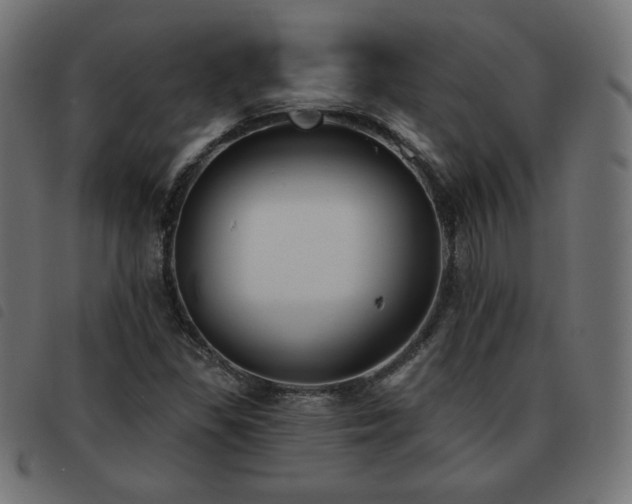 X0000093481309200710121437