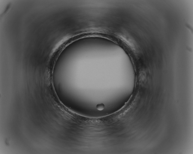 X0000093481310200710121437