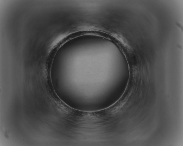 X0000093481311200710121437