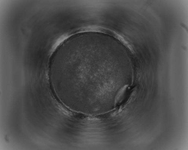 X0000093481312200710121437