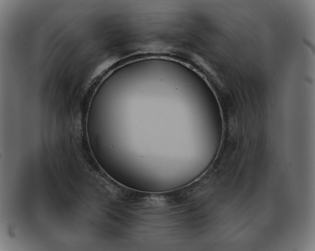 X0000093481315200710121437
