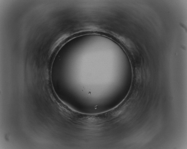 X0000093481318200710121437