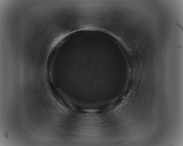 X0000093481319200710121437
