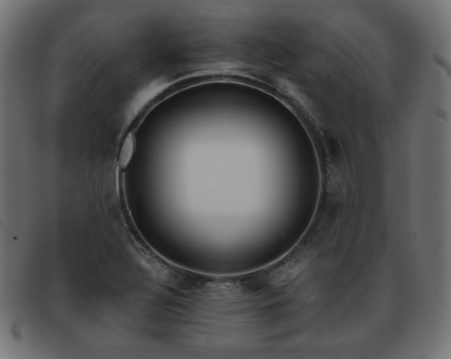 X0000093481320200710121437