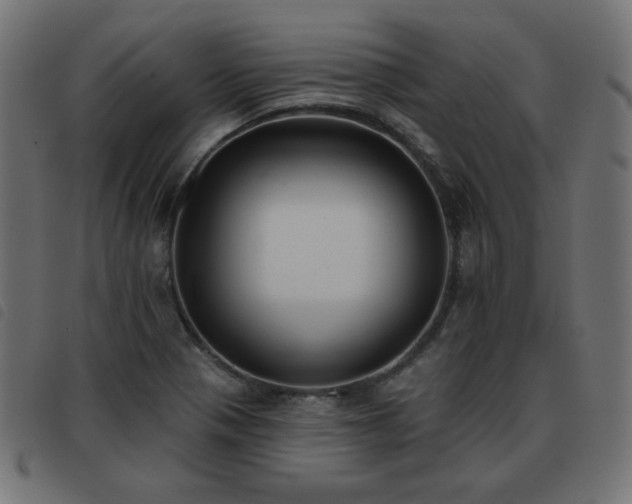 X0000093481321200710121437