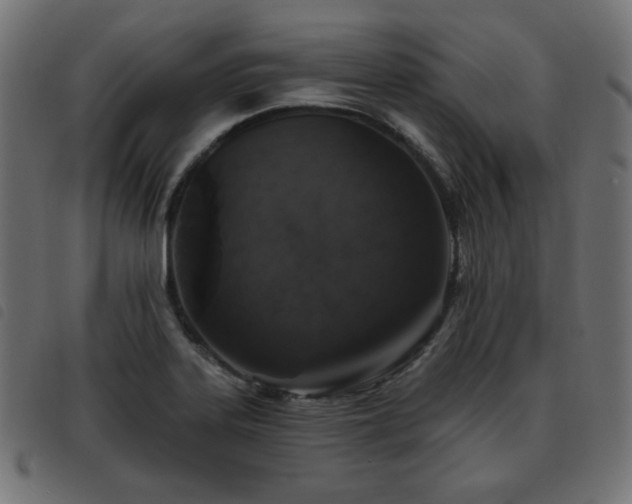 X0000093481323200710121437