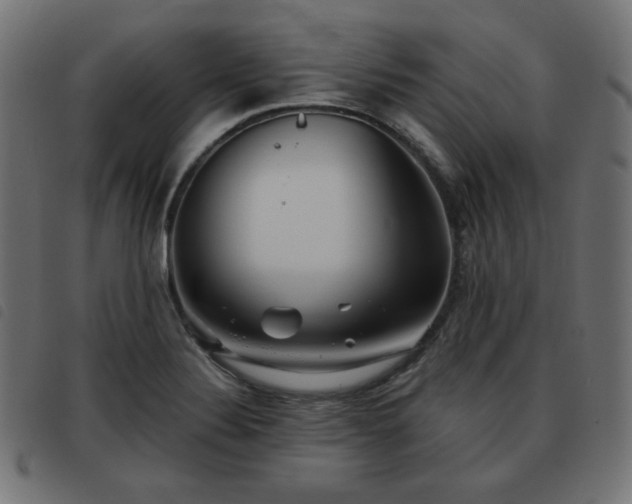 X0000093481324200710121437