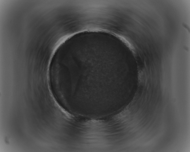 X0000093481327200710121437