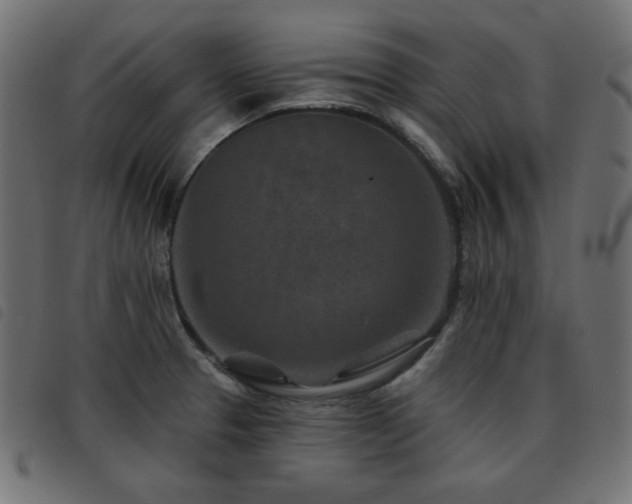 X0000093481329200710121437