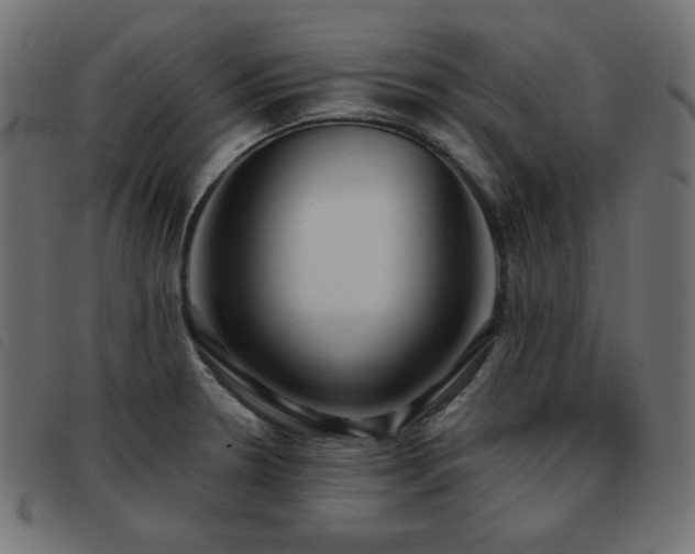 X0000093481330200710121437