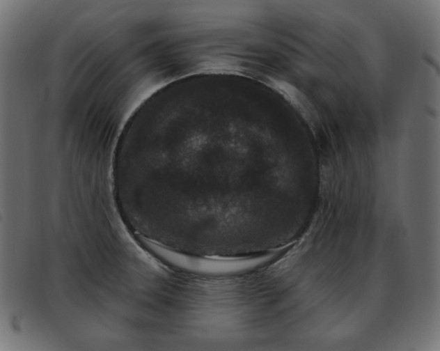 X0000093481331200710121437