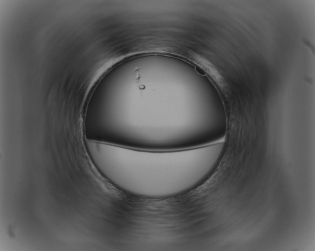 X0000093481332200710121437