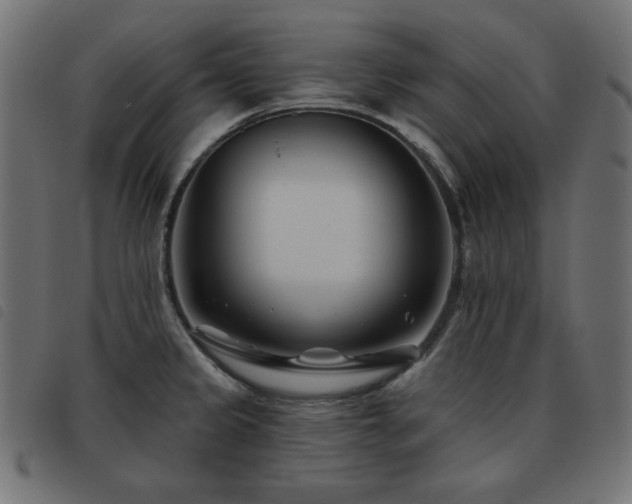 X0000093481333200710121437