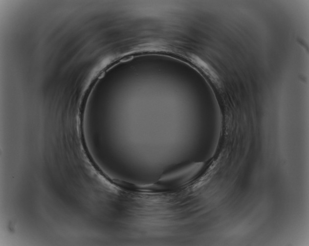 X0000093481334200710121437