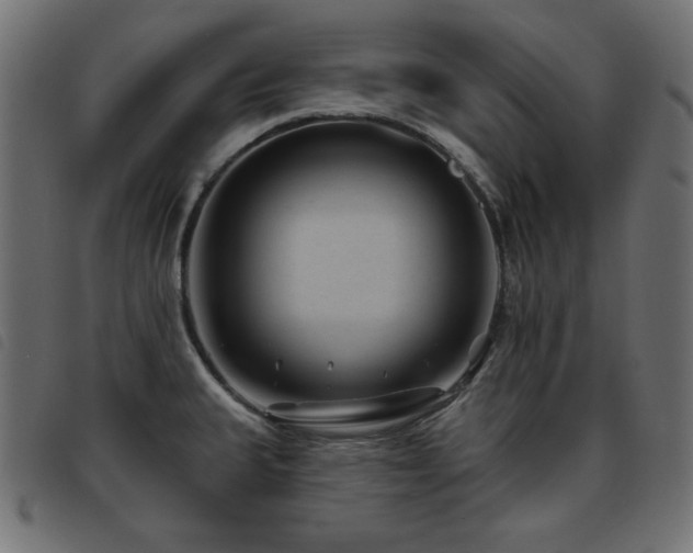 X0000093481335200710121437