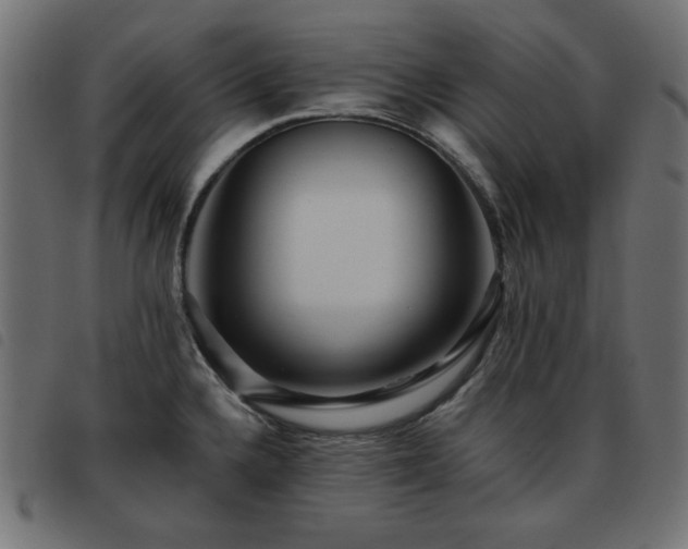 X0000093481336200710121437