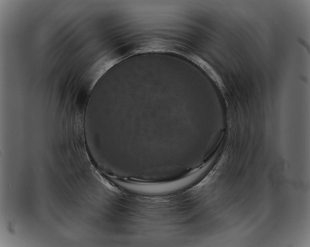 X0000093481337200710121437