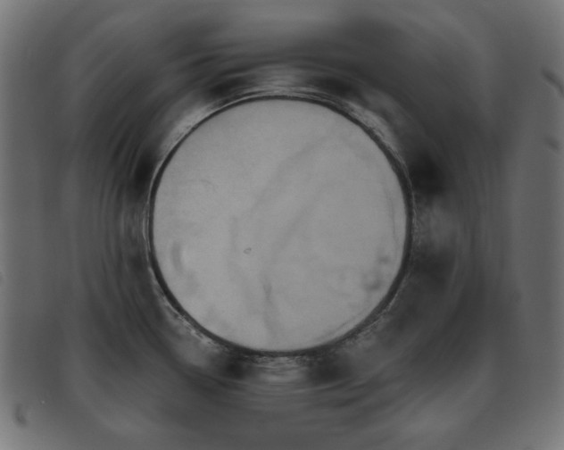 X0000093481338200710121437