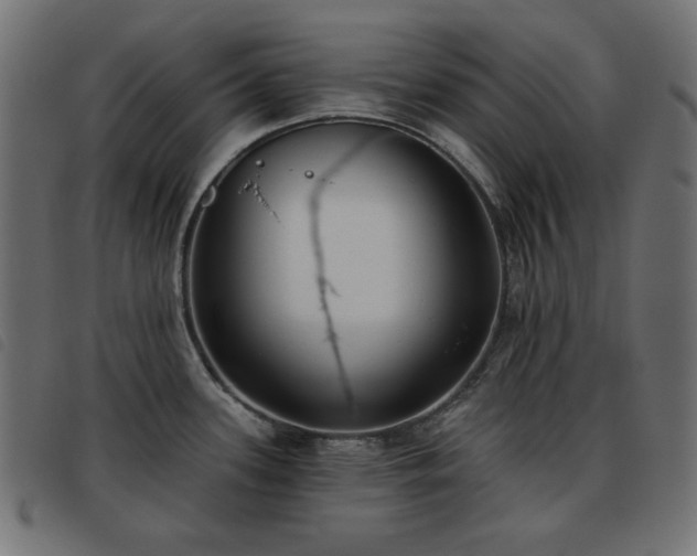 X0000093481339200710121437