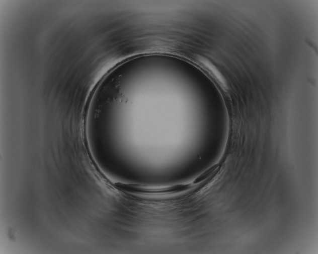 X0000093481340200710121437