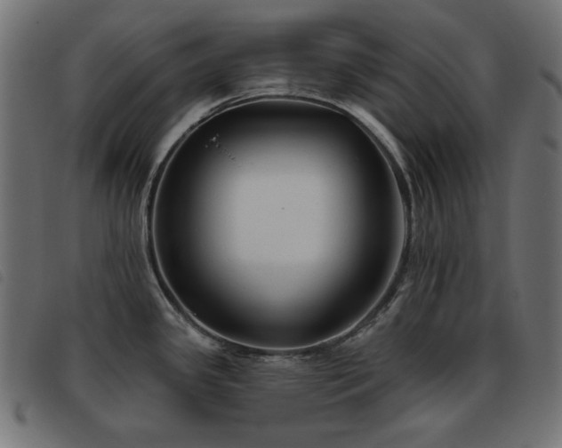 X0000093481341200710121438