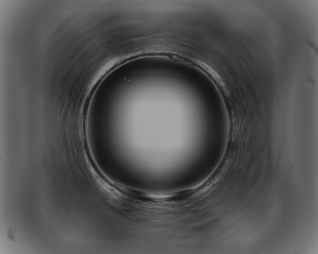 X0000093481342200710121438