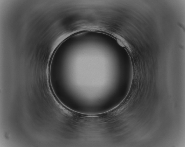 X0000093481343200710121438