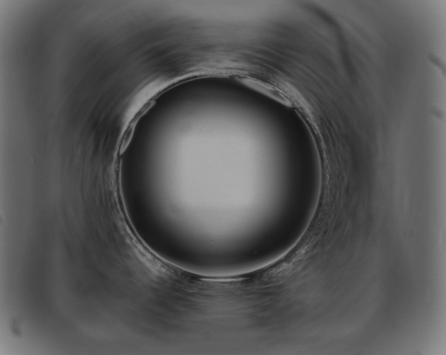 X0000093481344200710121438