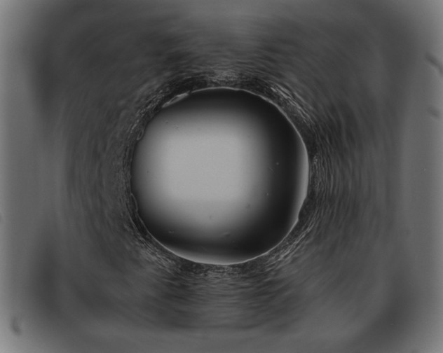 X0000093481345200710121437