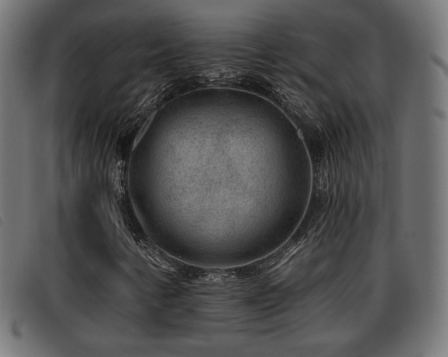 X0000093481346200710121437