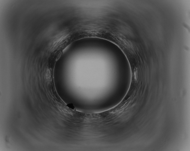 X0000093481347200710121437