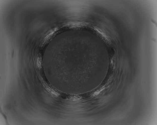 X0000093481348200710121437