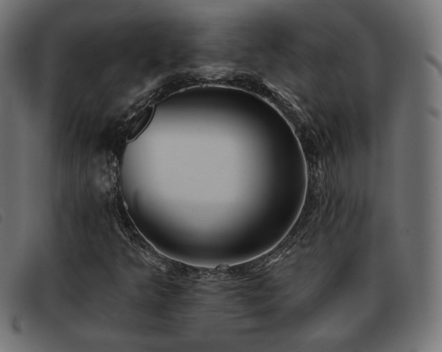 X0000093481349200710121437