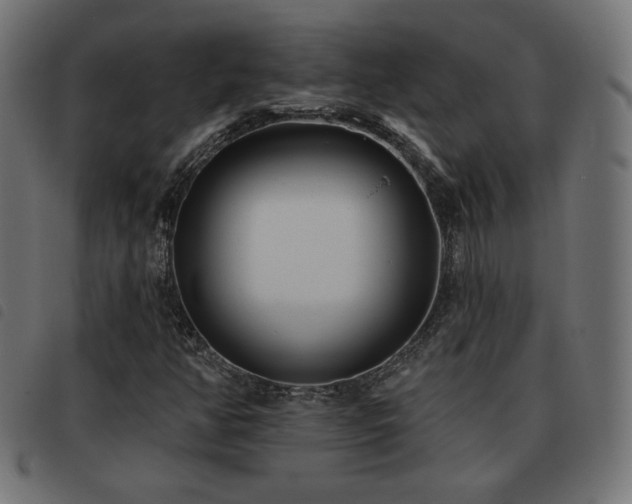 X0000093481350200710121437