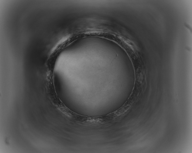 X0000093481351200710121437