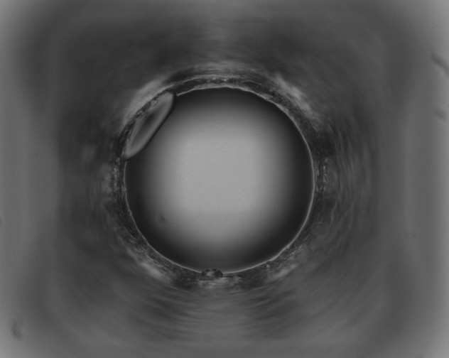 X0000093481352200710121437