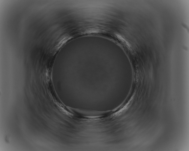 X0000093481353200710121437