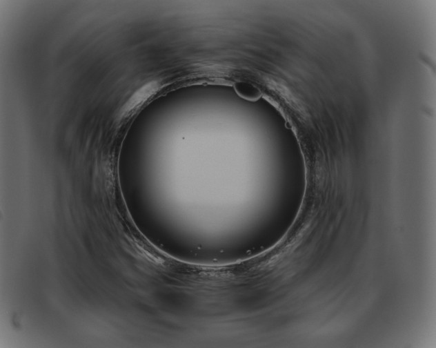 X0000093481354200710121437