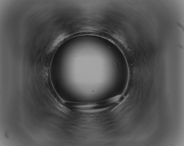 X0000093481355200710121437