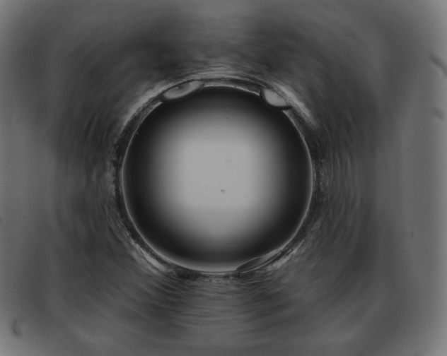 X0000093481356200710121437