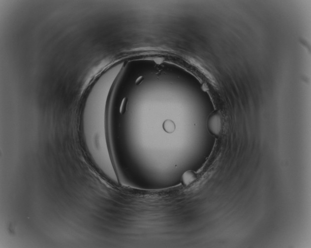 X0000093481357200710121437